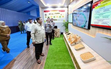 Cadangan Beras 5,3 Juta Ton Jadi Bukti Penguatan Pangan Nasional